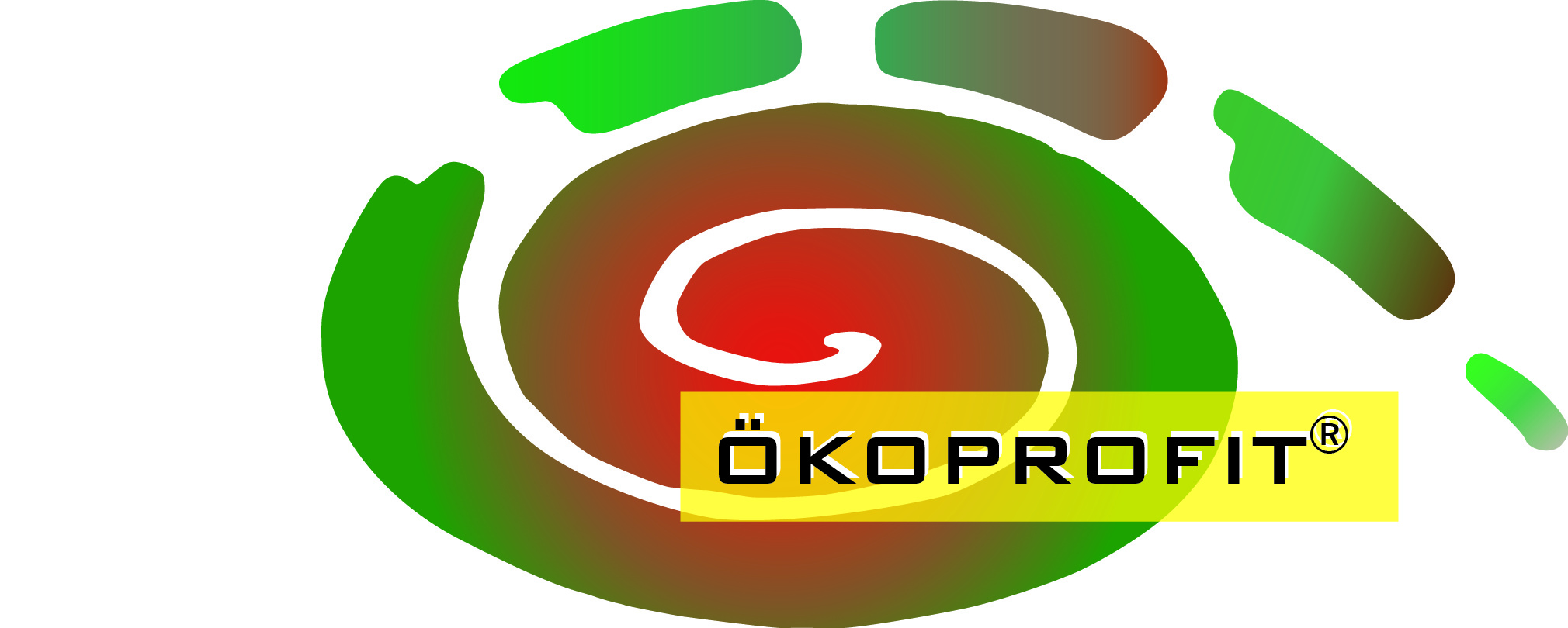P_Logo_nurOeP